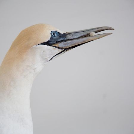 Skjerjehamn 호텔 Anneland 외부 사진