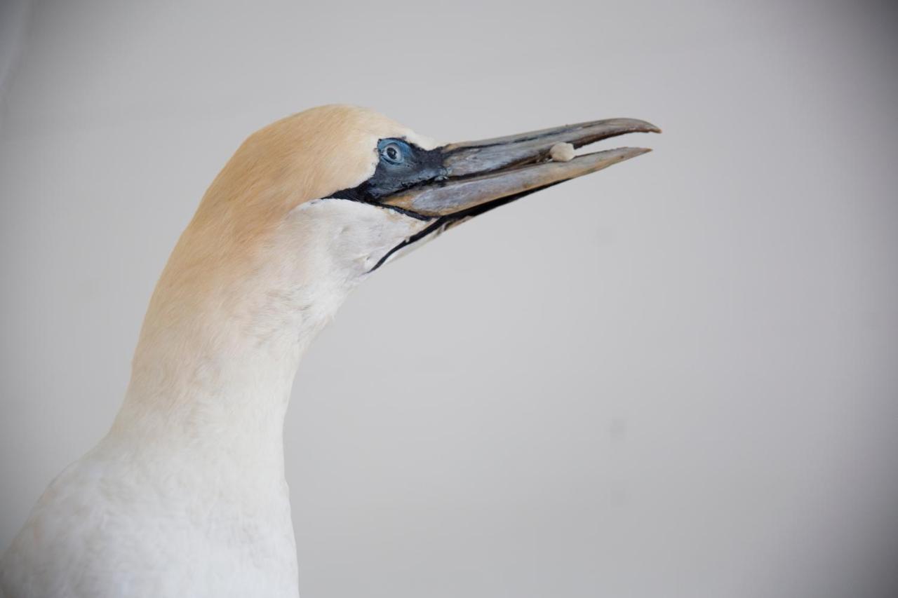 Skjerjehamn 호텔 Anneland 외부 사진